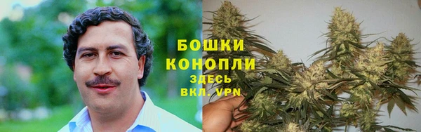прущая мука Вяземский